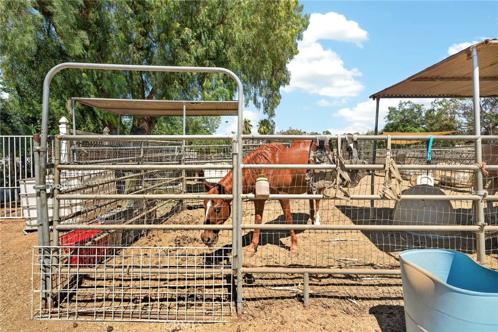 15091 Golden Star Avenue Riverside, CA 92506 - Photo 6 of 55