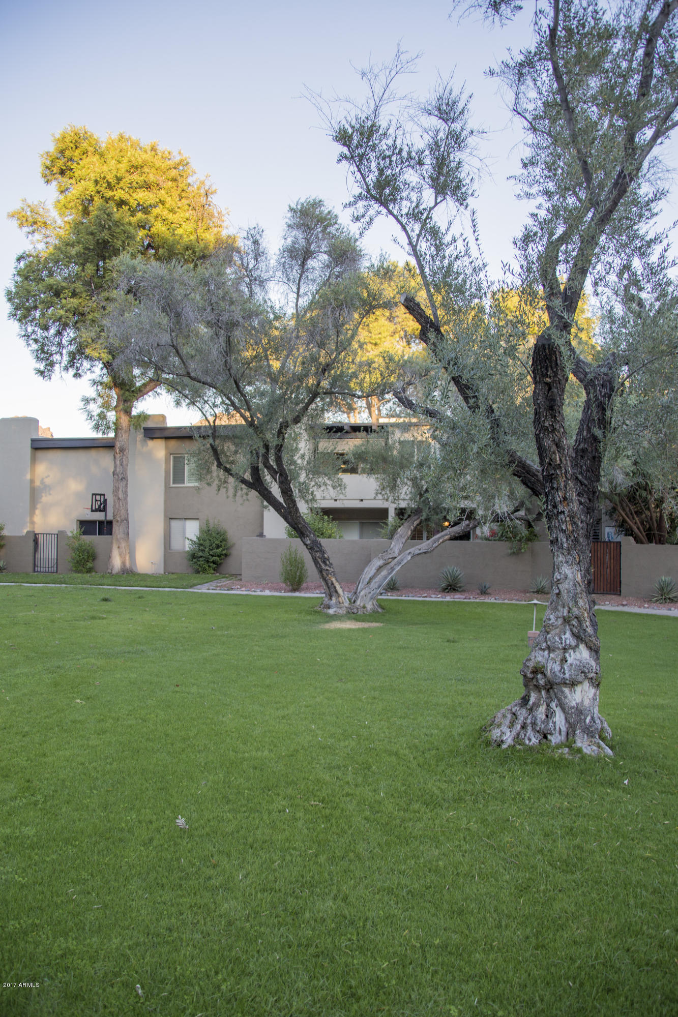 4201 East Camelback Road, Unit 84 Phoenix, AZ 85018 - Photo 27 of 33 IMG_4885