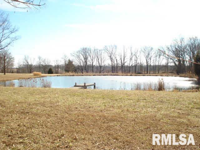 766 South Township Line Road Thompsonville, IL 62890 - Photo 16 of 21