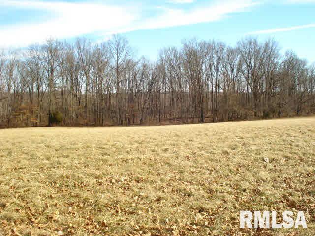 766 South Township Line Road Thompsonville, IL 62890 - Photo 18 of 21