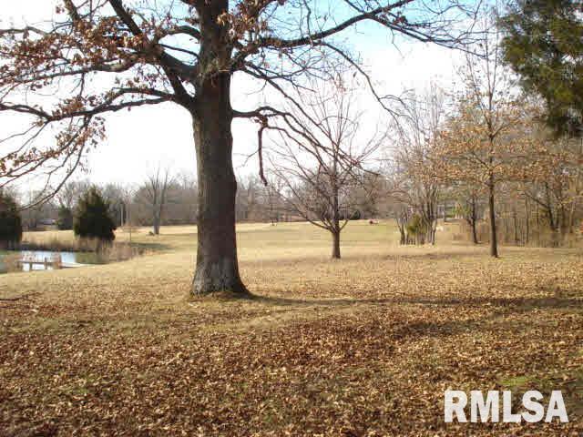 766 South Township Line Road Thompsonville, IL 62890 - Photo 19 of 21
