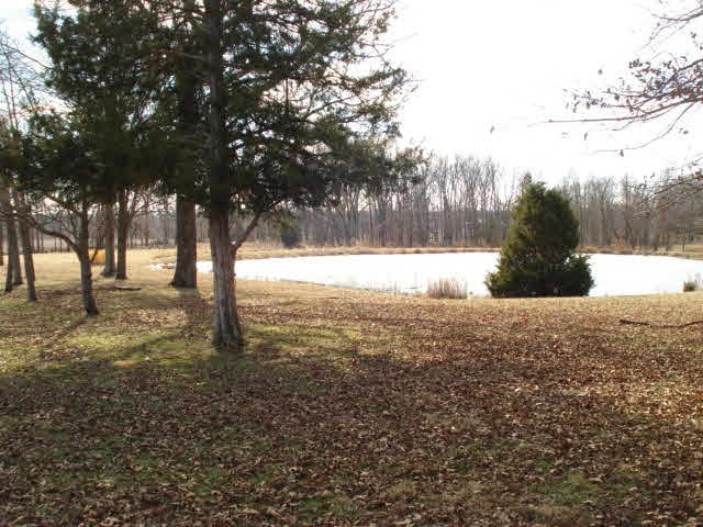 766 South Township Line Road Thompsonville, IL 62890 - Photo 20 of 21