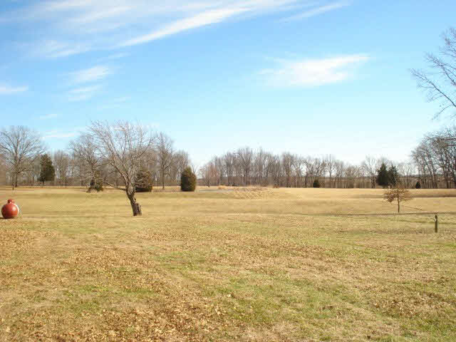 766 South Township Line Road Thompsonville, IL 62890 - Photo 6 of 21
