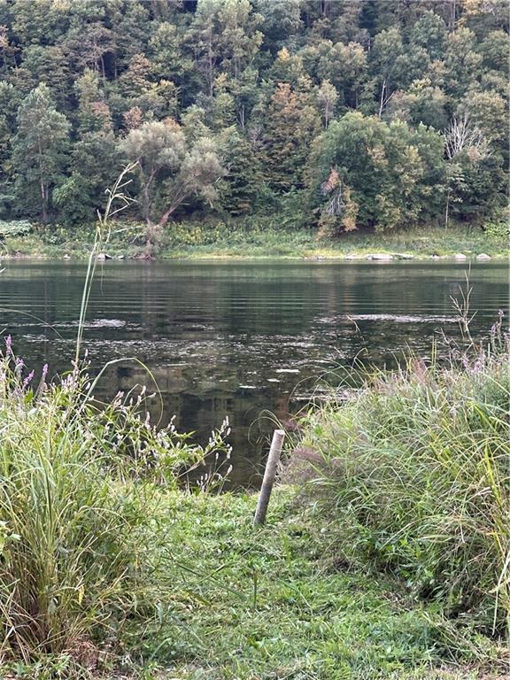 Lot 11 Sarah Furnace Road Rimersburg, PA 16248 - Photo 15 of 20 a view of a lake with a yard and large trees
