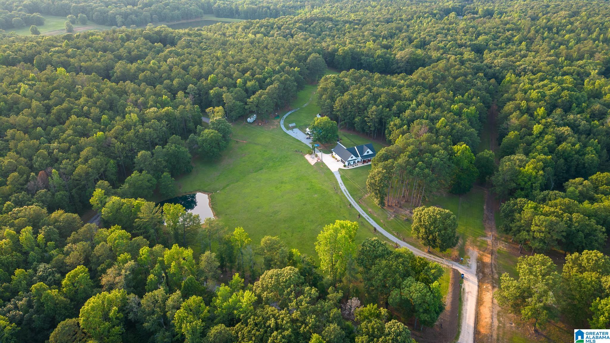 271 Little Pond Road Pell City, AL 35128 - Photo 4 of 86