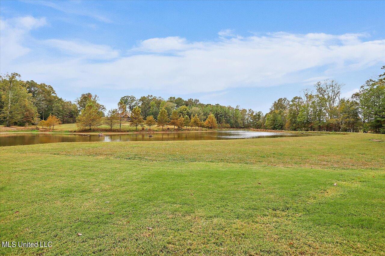 1085 Holly Bush Road Brandon, MS 39047 - Photo 44 of 80 45-1085 Holly Bush Rd