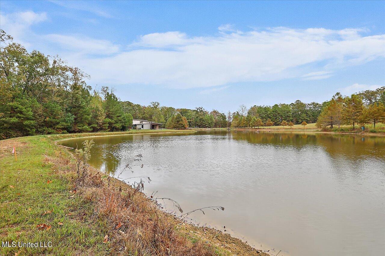 1085 Holly Bush Road Brandon, MS 39047 - Photo 46 of 80 47-1085 Holly Bush Rd
