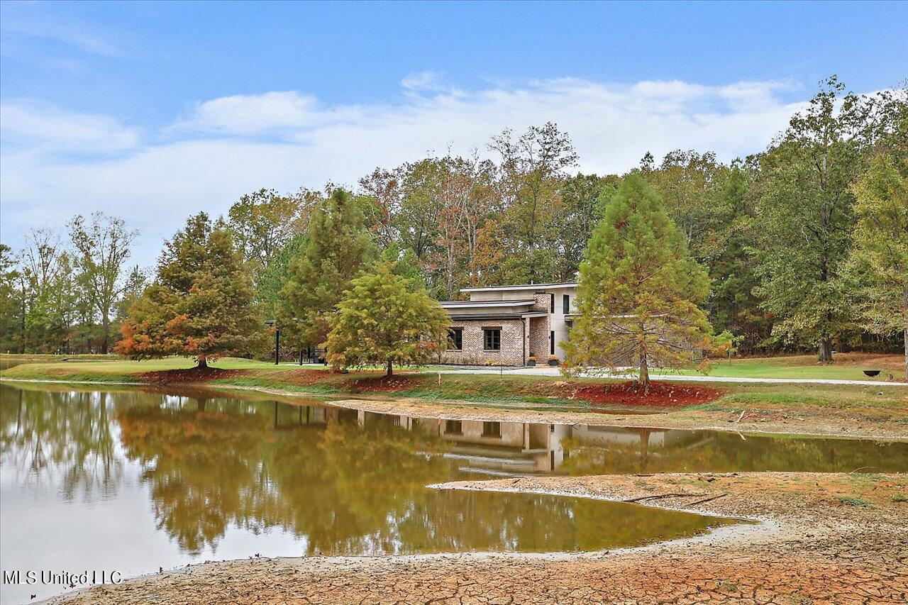 1085 Holly Bush Road Brandon, MS 39047 - Photo 48 of 80 49-1085 Holly Bush Rd