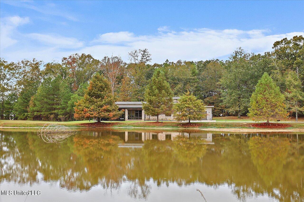 1085 Holly Bush Road Brandon, MS 39047 - Photo 49 of 80 50-1085 Holly Bush Rd