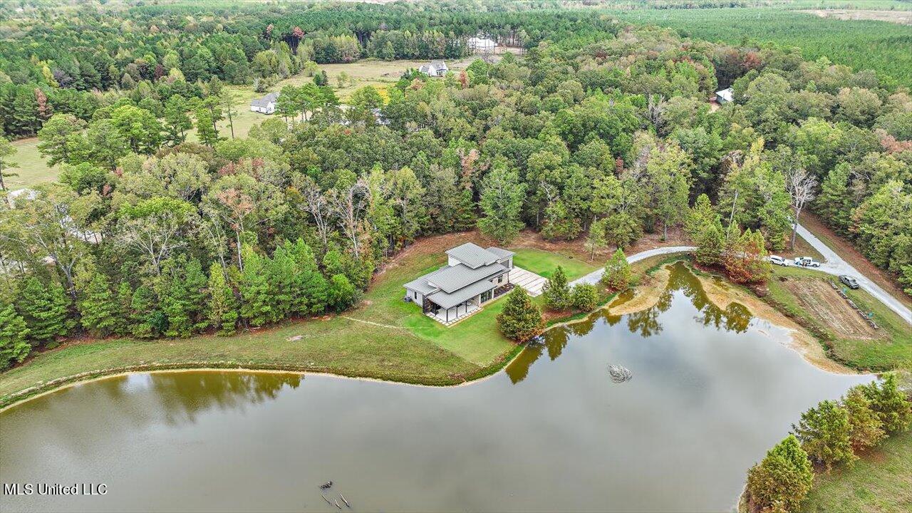 1085 Holly Bush Road Brandon, MS 39047 - Photo 53 of 80 58-1085 Holly Bush Rd
