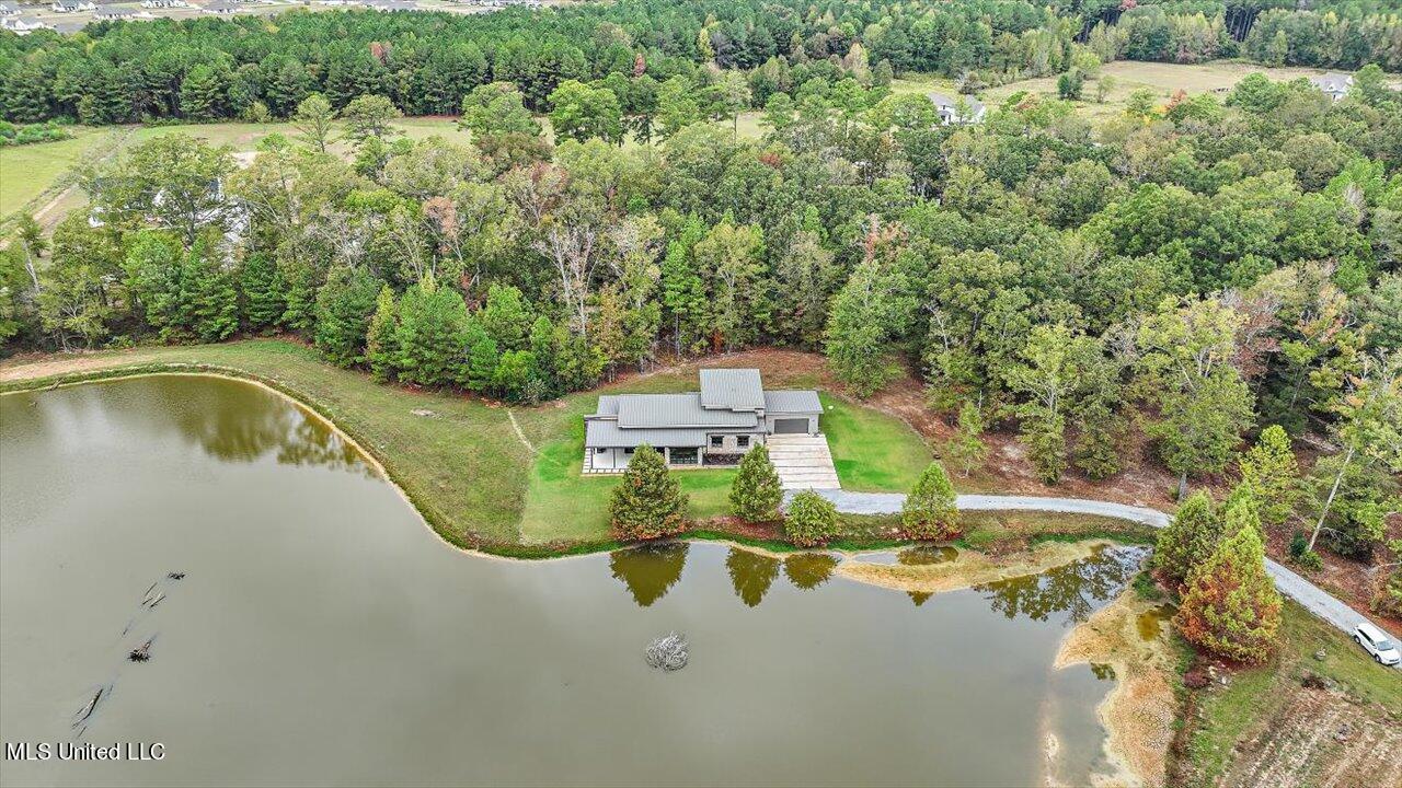 1085 Holly Bush Road Brandon, MS 39047 - Photo 54 of 80 59-1085 Holly Bush Rd