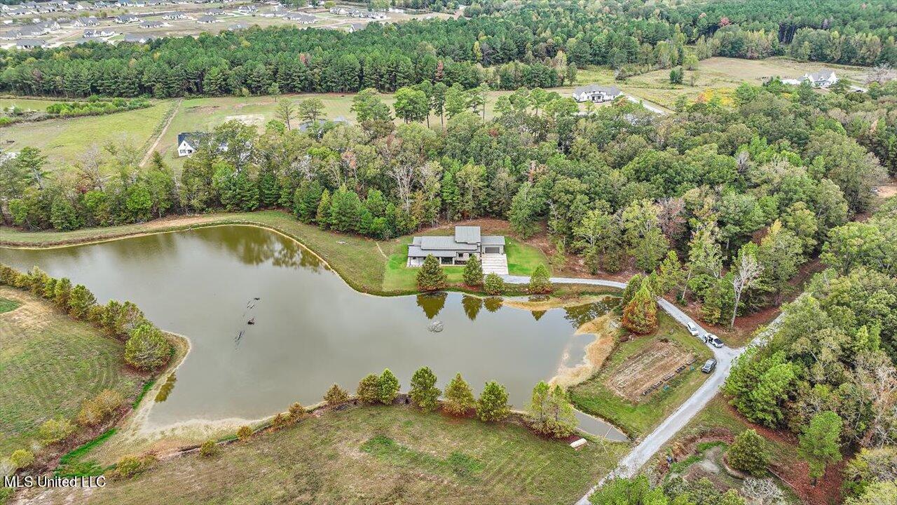 1085 Holly Bush Road Brandon, MS 39047 - Photo 57 of 80 62-1085 Holly Bush Rd