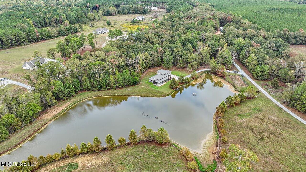 1085 Holly Bush Road Brandon, MS 39047 - Photo 58 of 80 63-1085 Holly Bush Rd
