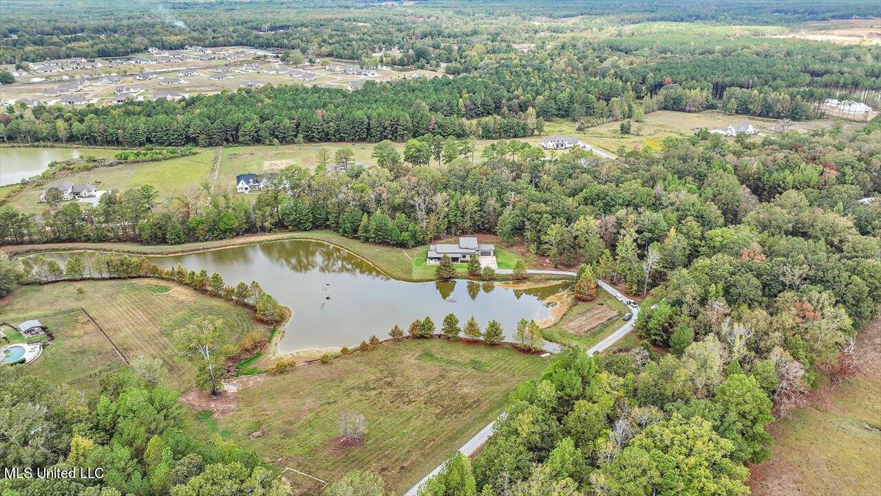1085 Holly Bush Road Brandon, MS 39047 - Photo 59 of 80 65-1085 Holly Bush Rd