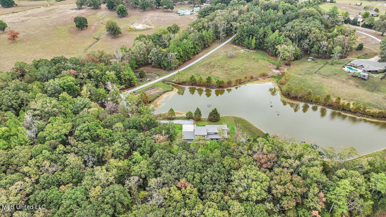 1085 Holly Bush Road Brandon, MS 39047 - Photo 63 of 80 71-1085 Holly Bush Rd