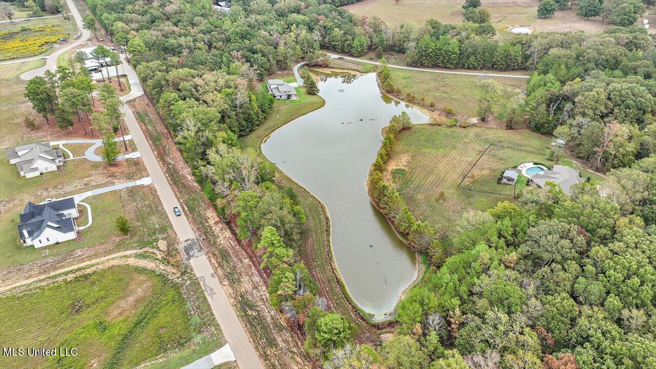 1085 Holly Bush Road Brandon, MS 39047 - Photo 64 of 80 73-1085 Holly Bush Rd