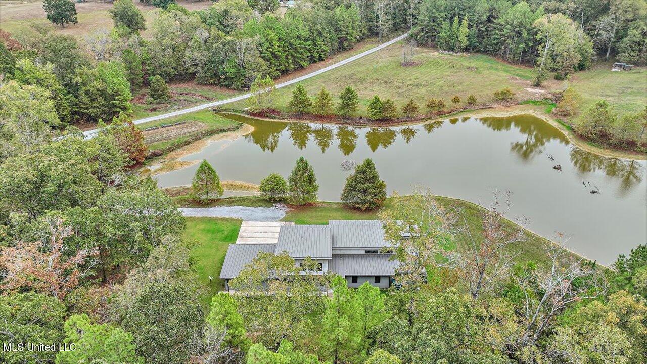 1085 Holly Bush Road Brandon, MS 39047 - Photo 67 of 80 77-1085 Holly Bush Rd
