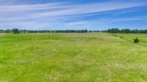 a view of a garden with an outdoor space