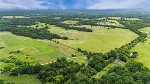 a view of a lush green forest with lots of trees