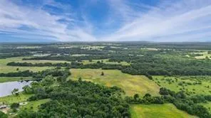a view of a lush green forest with lots of trees