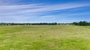 a view of a lush green space