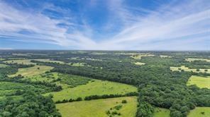 4515 Rs County Road 4515 Point, TX 75472 - Photo 30 of 31