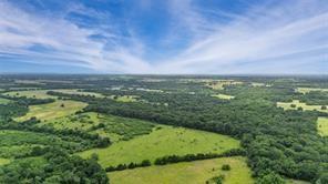 4515 Rs County Road 4515 Point, TX 75472 - Photo 3 of 31
