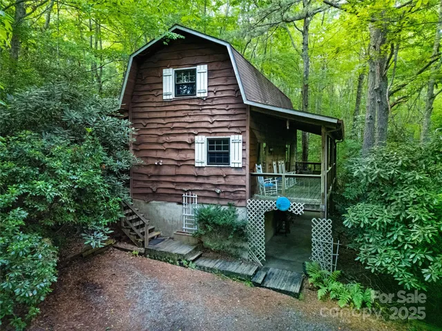 a view of backyard with potted plants and a large tree