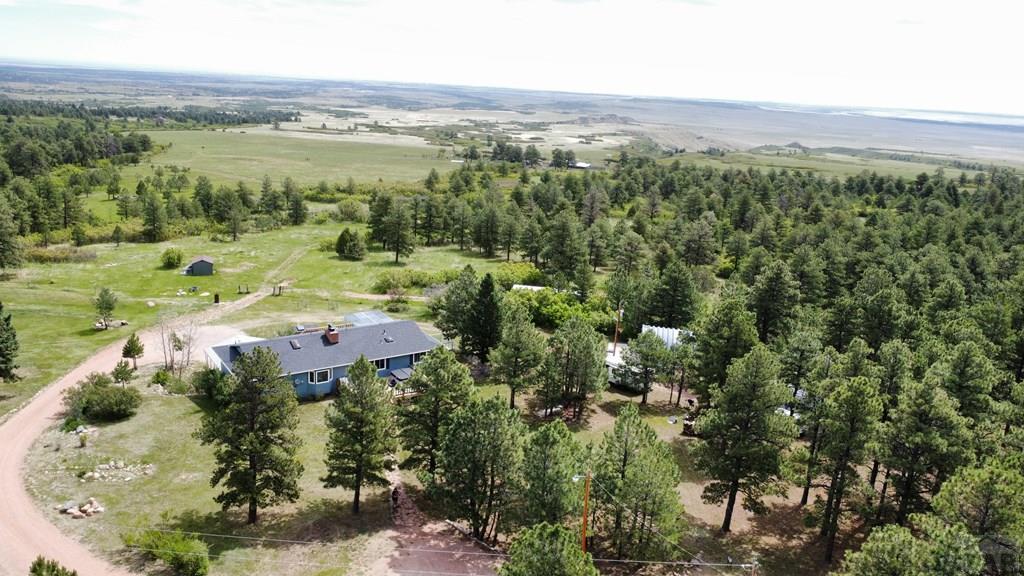 1847 County Road 671 Rye, CO 81069 - Photo 3 of 41