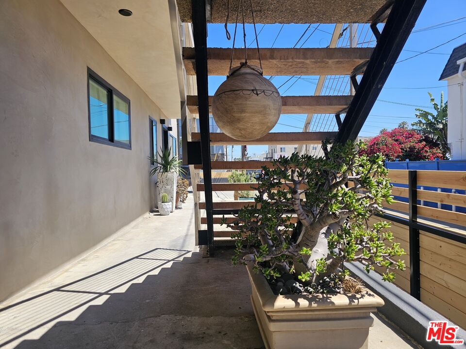17 Sunset Avenue, Unit 1 Venice, CA 90291 - Photo 23 of 30 a room filled with lots of potted plants