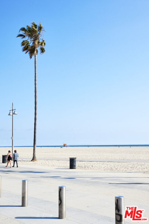 17 Sunset Avenue, Unit 1 Venice, CA 90291 - Photo 30 of 30 a kitchen with a sink and a potted plant