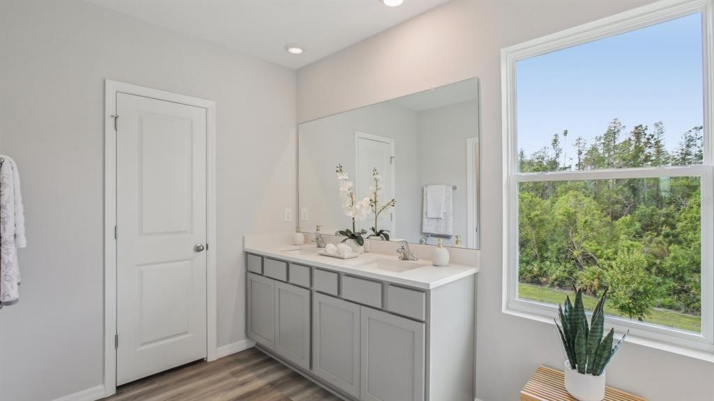 38370 Tea Rose Avenue Zephyrhills, FL 33540 - Photo 29 of 36 a bathroom with a sink mirror and a window