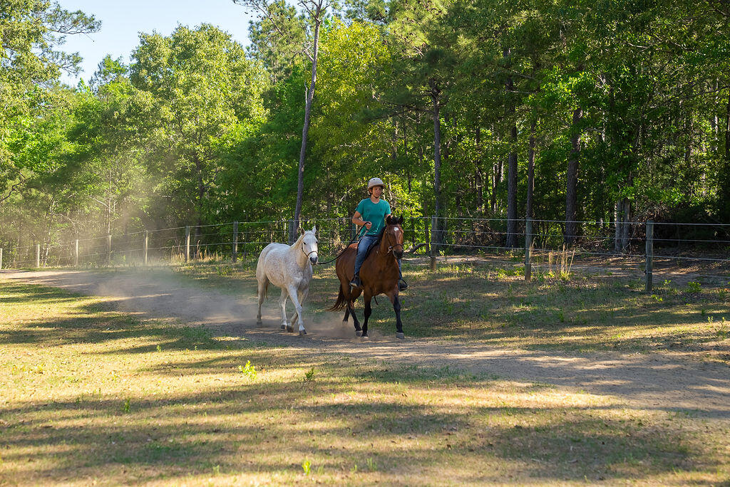 177 Muddy Branch Road Aiken, SC 29805 - Photo 29 of 34