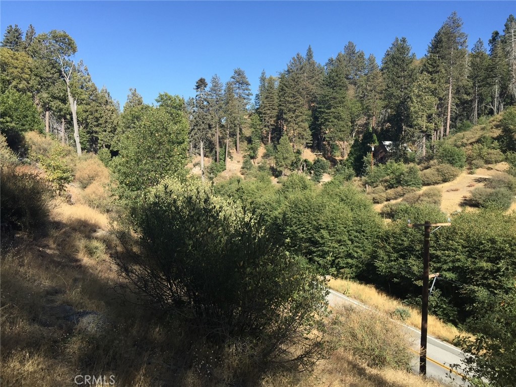 29751 Redwood Road Cedar Glen, CA 92321 - Photo 3 of 7 Gallery Image 3