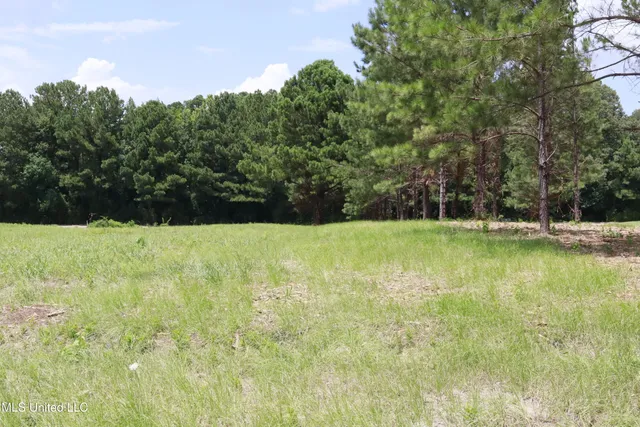$200,000 | 0 Country Pl Parkway, Pearl, MS 39208