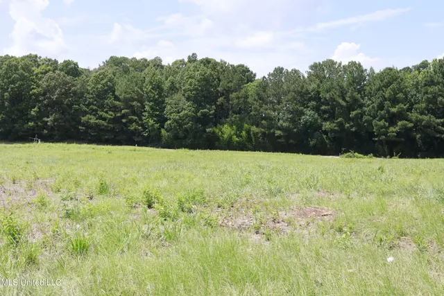 $200,000 | 0 Country Pl Parkway, Pearl, MS 39208
