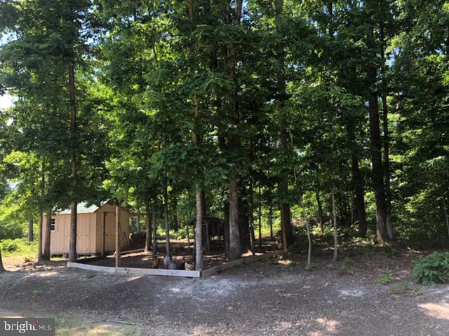 1041 Bibb Store Road Louisa, VA 23093 - Photo 22 of 25 Room for your chickens and other well loved animal
