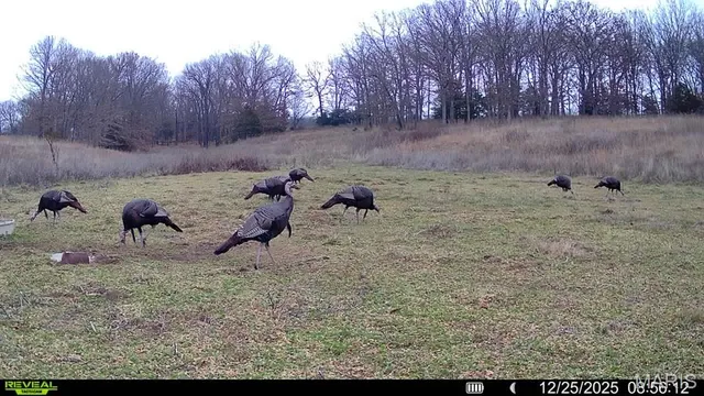 $380,000 | 82 Koppelmann Lane, Sullivan, MO 63080