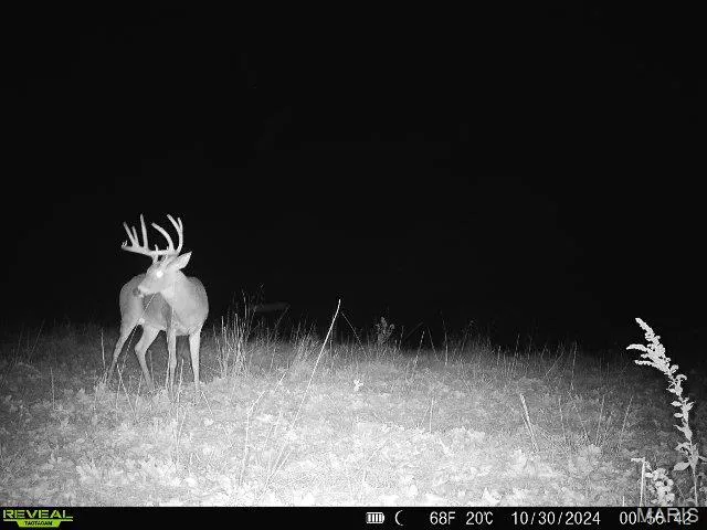 $380,000 | 82 Koppelmann Lane, Sullivan, MO 63080