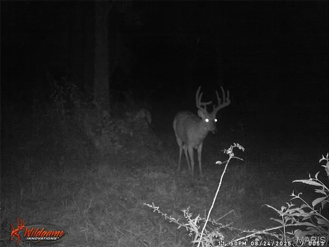 $380,000 | 82 Koppelmann Lane, Sullivan, MO 63080