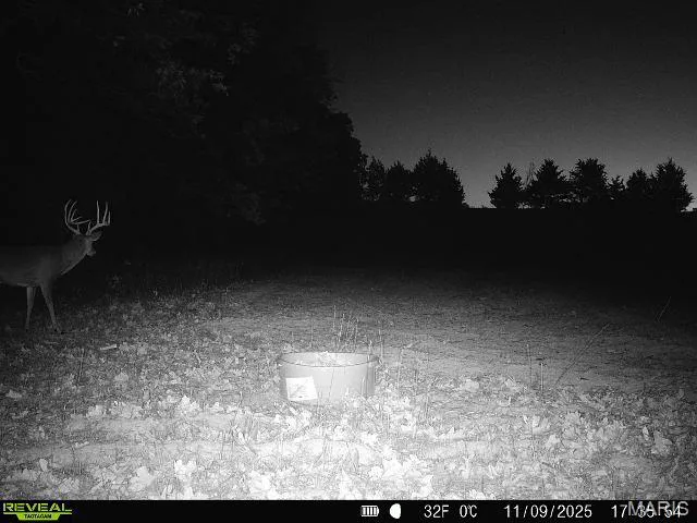 $380,000 | 82 Koppelmann Lane, Sullivan, MO 63080