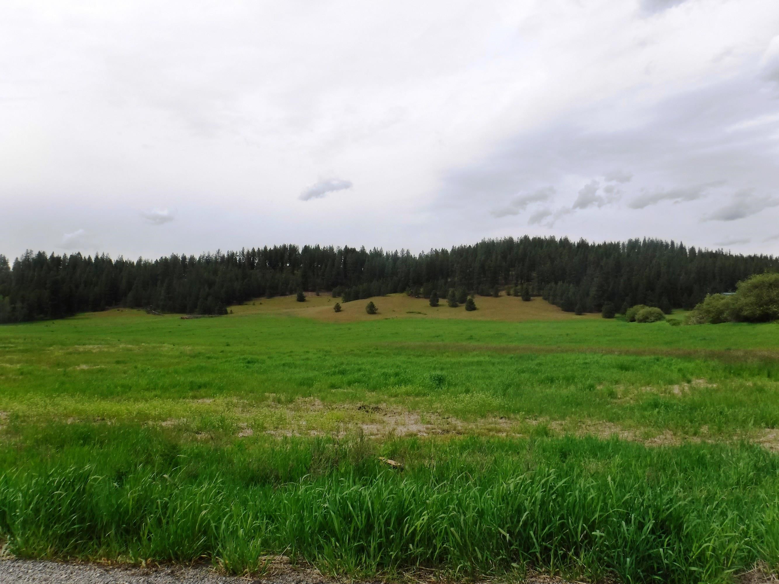 Xx East Woolard Road Colbert, WA 99005 - Photo 3 of 23