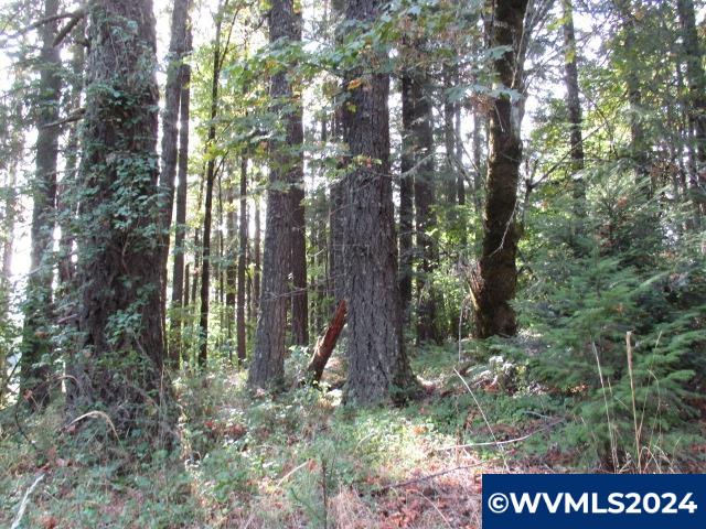 0 Northwest Crane (3) Road Yamhill, OR 97148 - Photo 6 of 14
