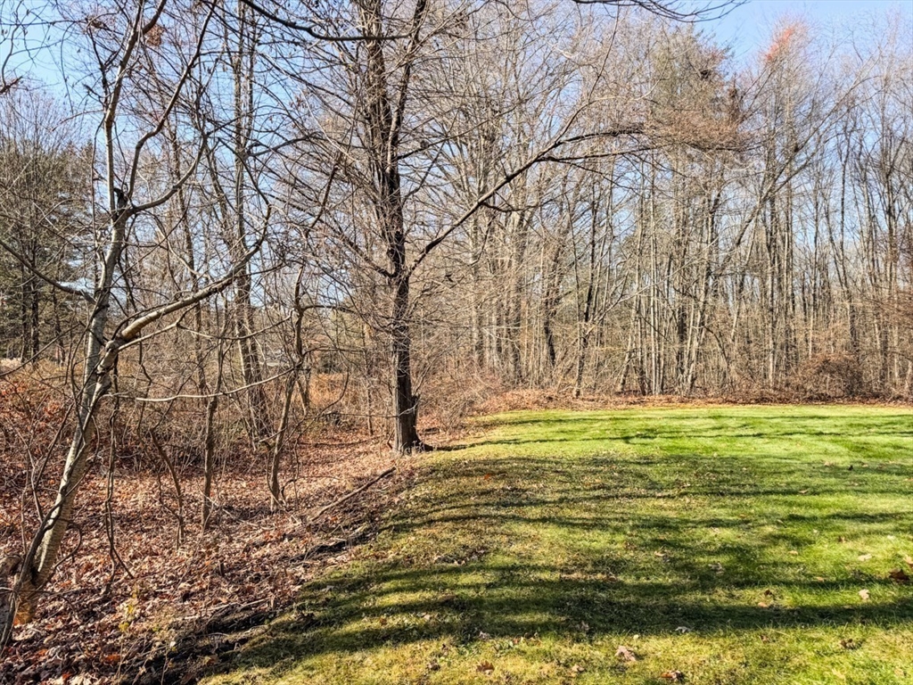 74 Petty Plain Road Greenfield, MA 01301 - Photo 28 of 42 a view of a backyard with large trees
