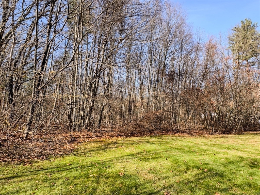 74 Petty Plain Road Greenfield, MA 01301 - Photo 29 of 42 a view of house with large trees