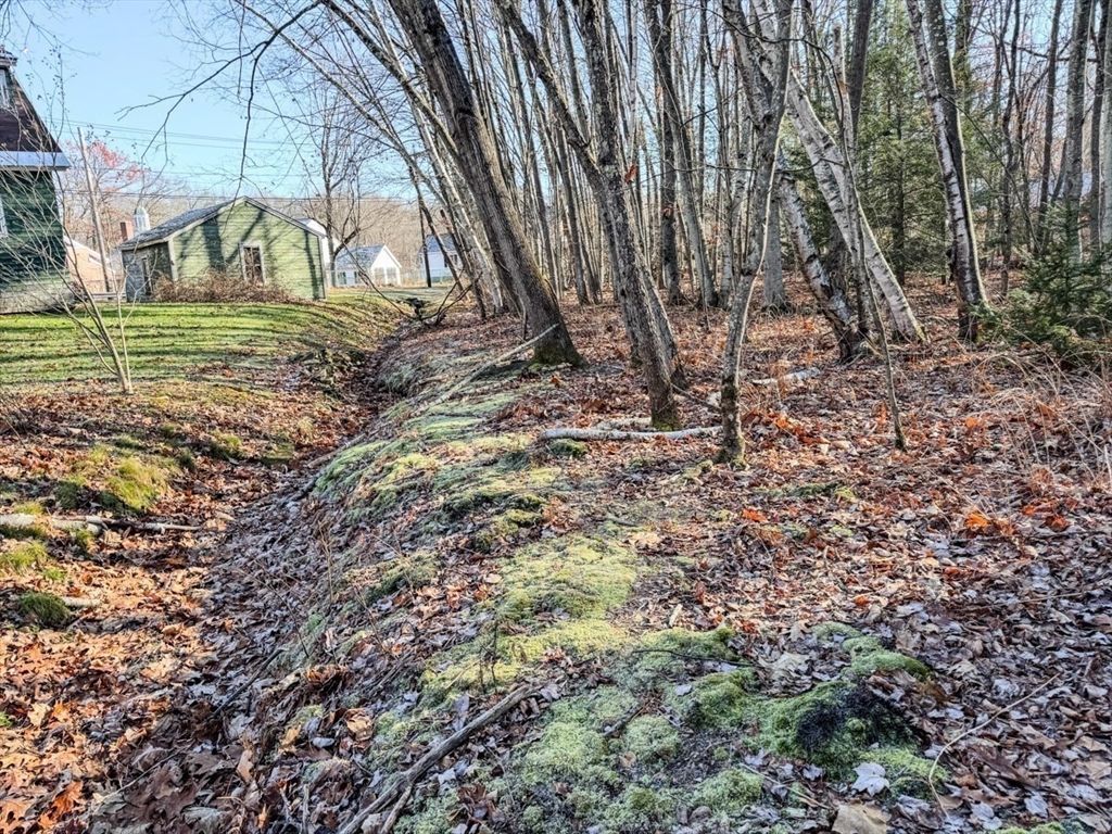 74 Petty Plain Road Greenfield, MA 01301 - Photo 31 of 42 a view of a backyard with large trees