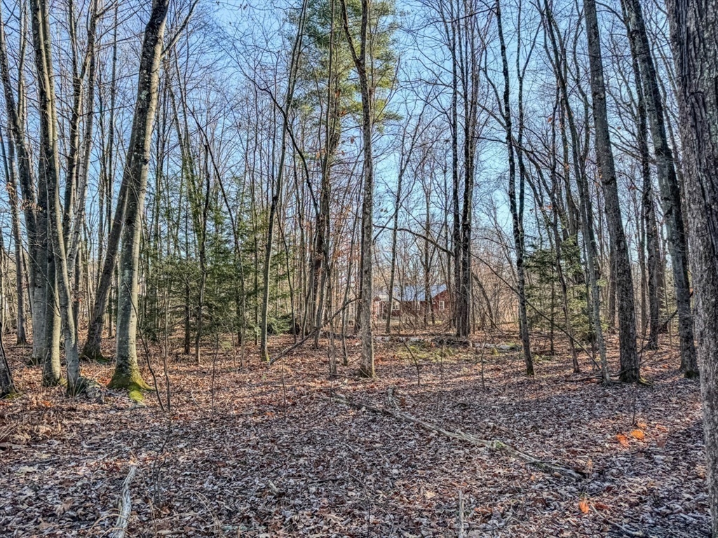 74 Petty Plain Road Greenfield, MA 01301 - Photo 32 of 42 a view of house with trees