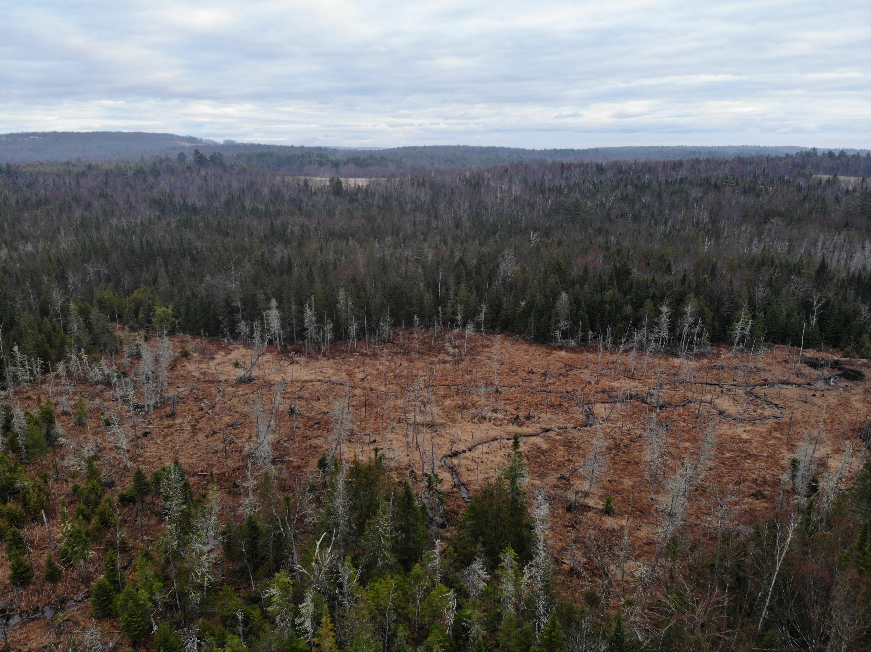 Map5-lot1 Silvers Mills Road Sangerville, ME 04479 - Photo 21 of 33