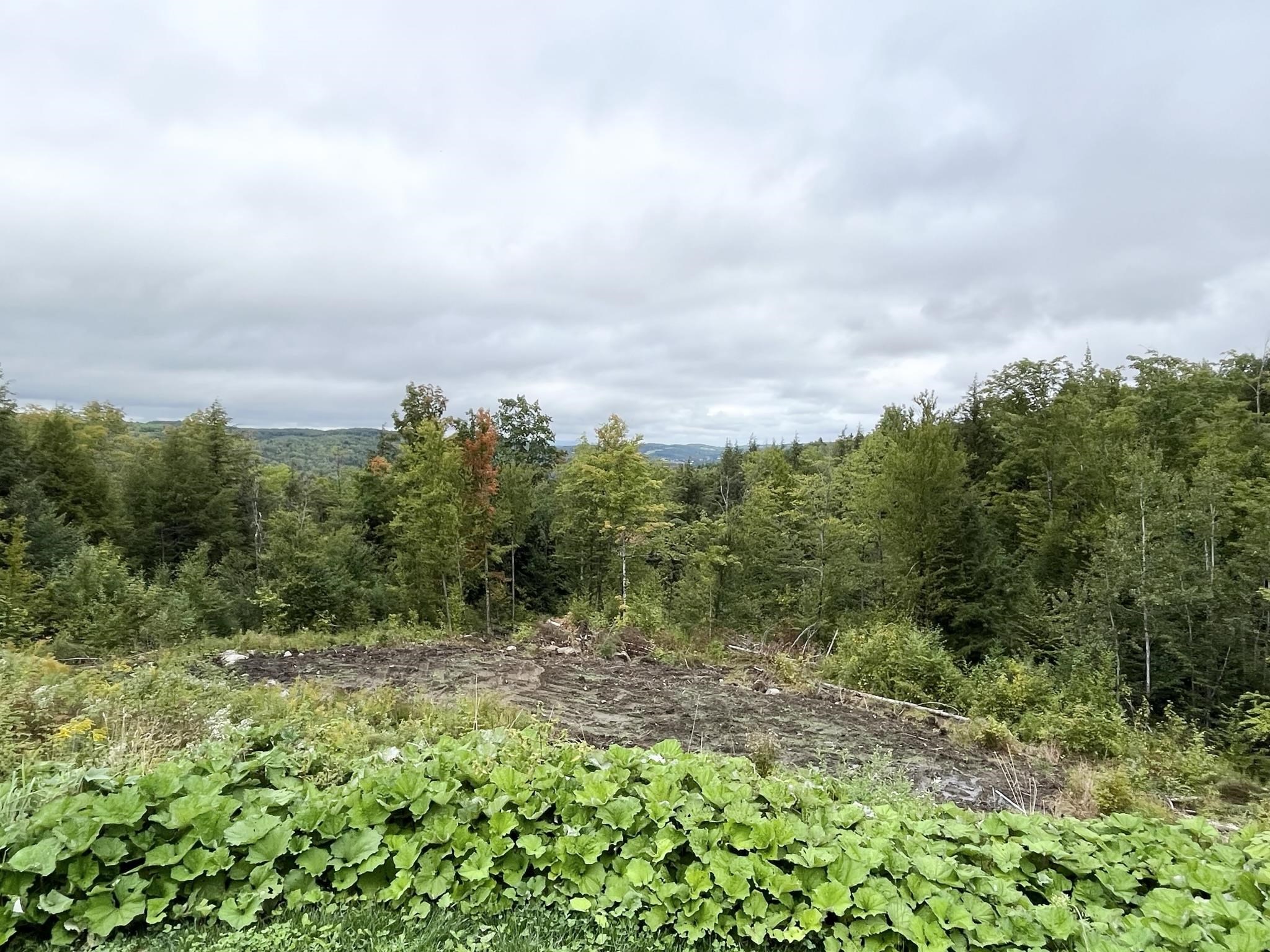 637 Dexter Mountain Road Glover, VT 05839 - Photo 24 of 33