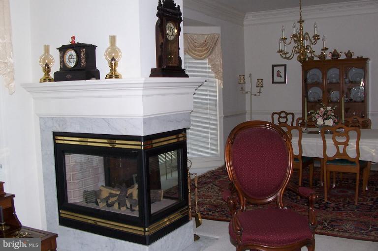 313 Colony Point Place Edgewater, MD 21037 - Photo 4 of 7 Double sided Fireplace